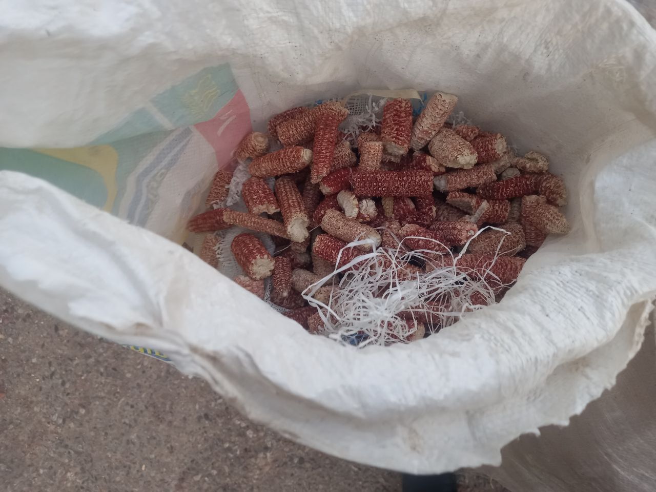 Макка жухори сутаси, мардак