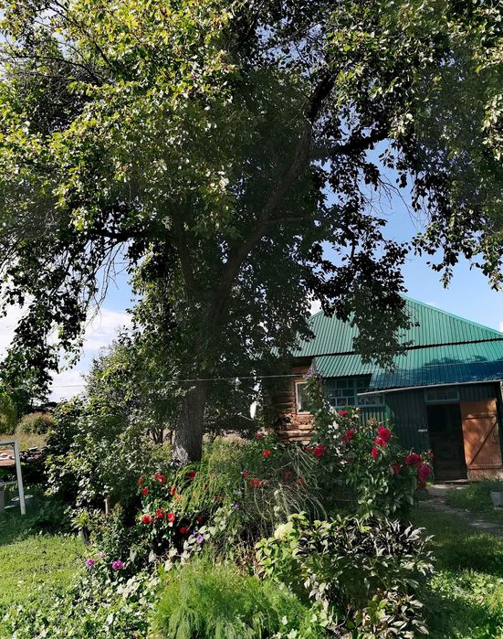 Дом в с.Черемшанка