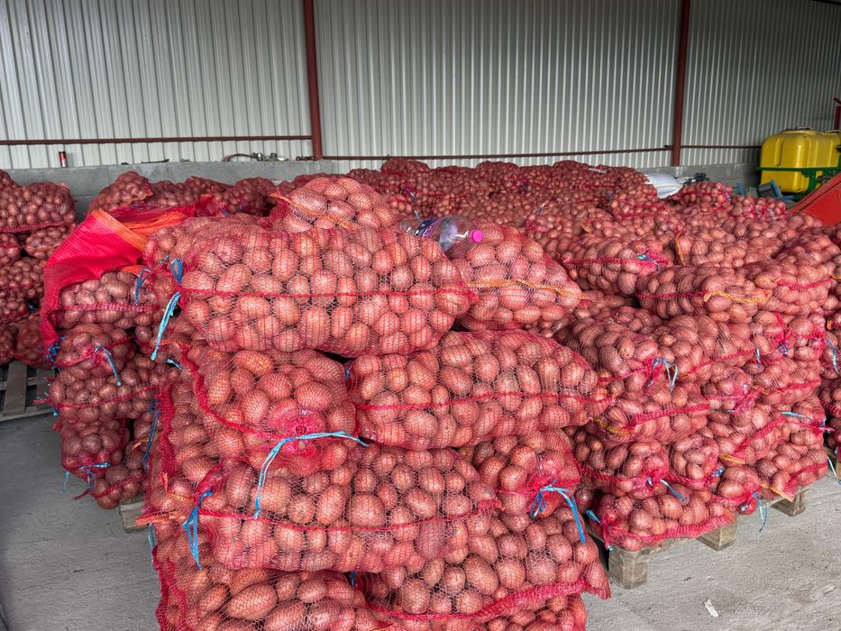 Cartofi de consul recent ambalat