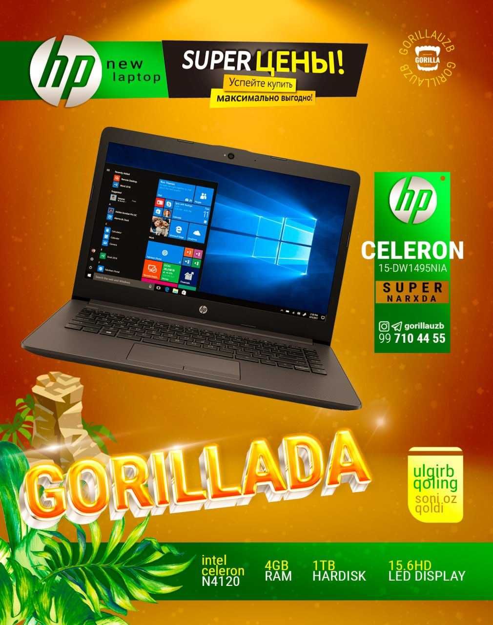 Hp Celeron arzon narxda