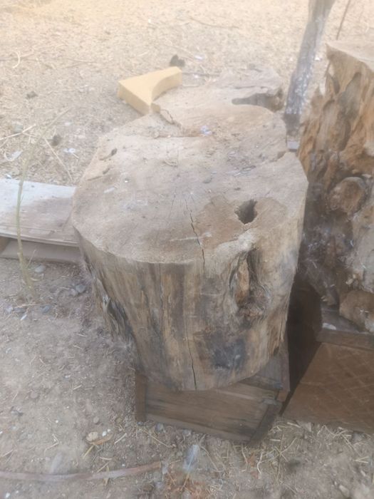 Тонка гош учун  сифатли