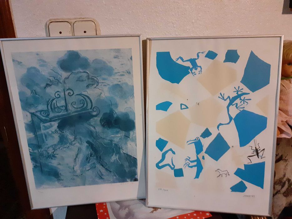 Lot doua gravuri valoroase,serie limitata ,ani 90