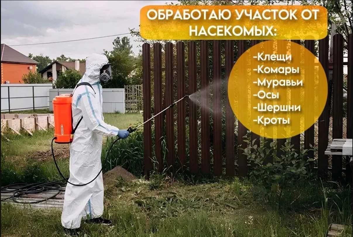 Фумигация деревьев ёлок кустарники, насекомые Dezinfeksiya