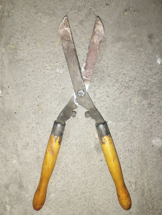 Bogʻ vositasi .qaychi