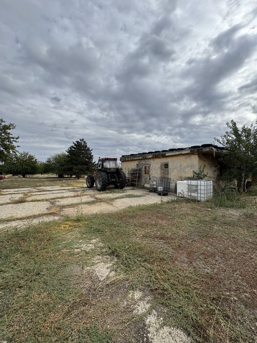 Teren intravilan 1 hectar Calafat