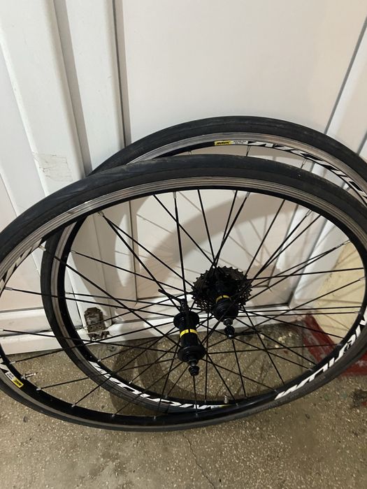 Roti mavic 28 cursiera