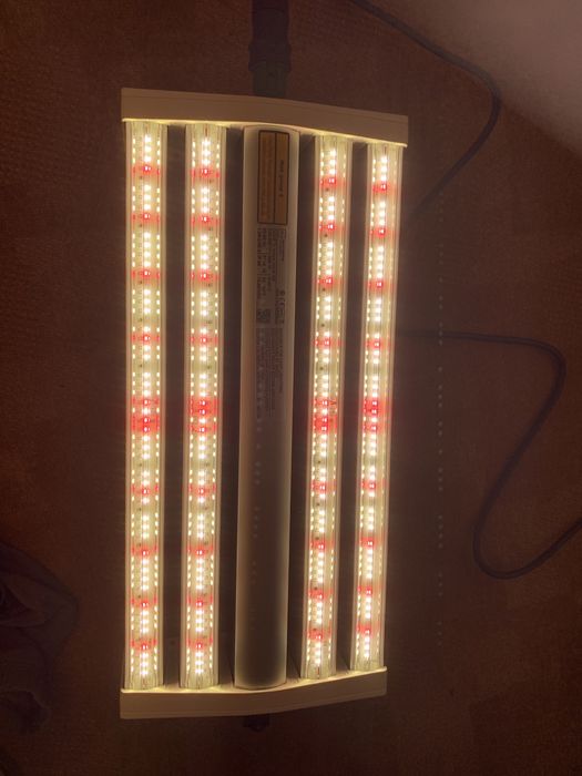 Led Dutch Lighting Inovations Olanda