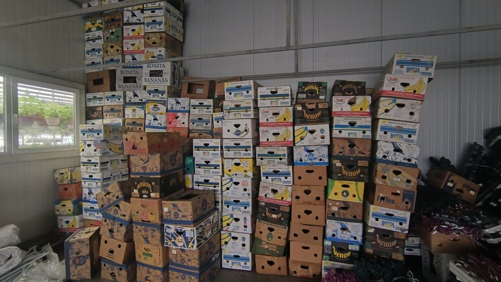 Baxuri banane fructe legume