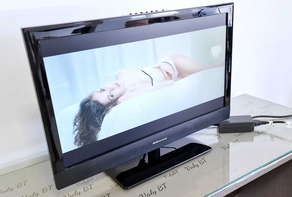 TV led  Silva Schneider 2470 24 inch/61 cm 12v - pt camion,rulota etc