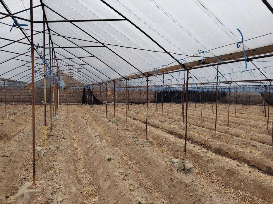 14 сотих умумий майдон, 3 хонали уй, 11 сотих теплица