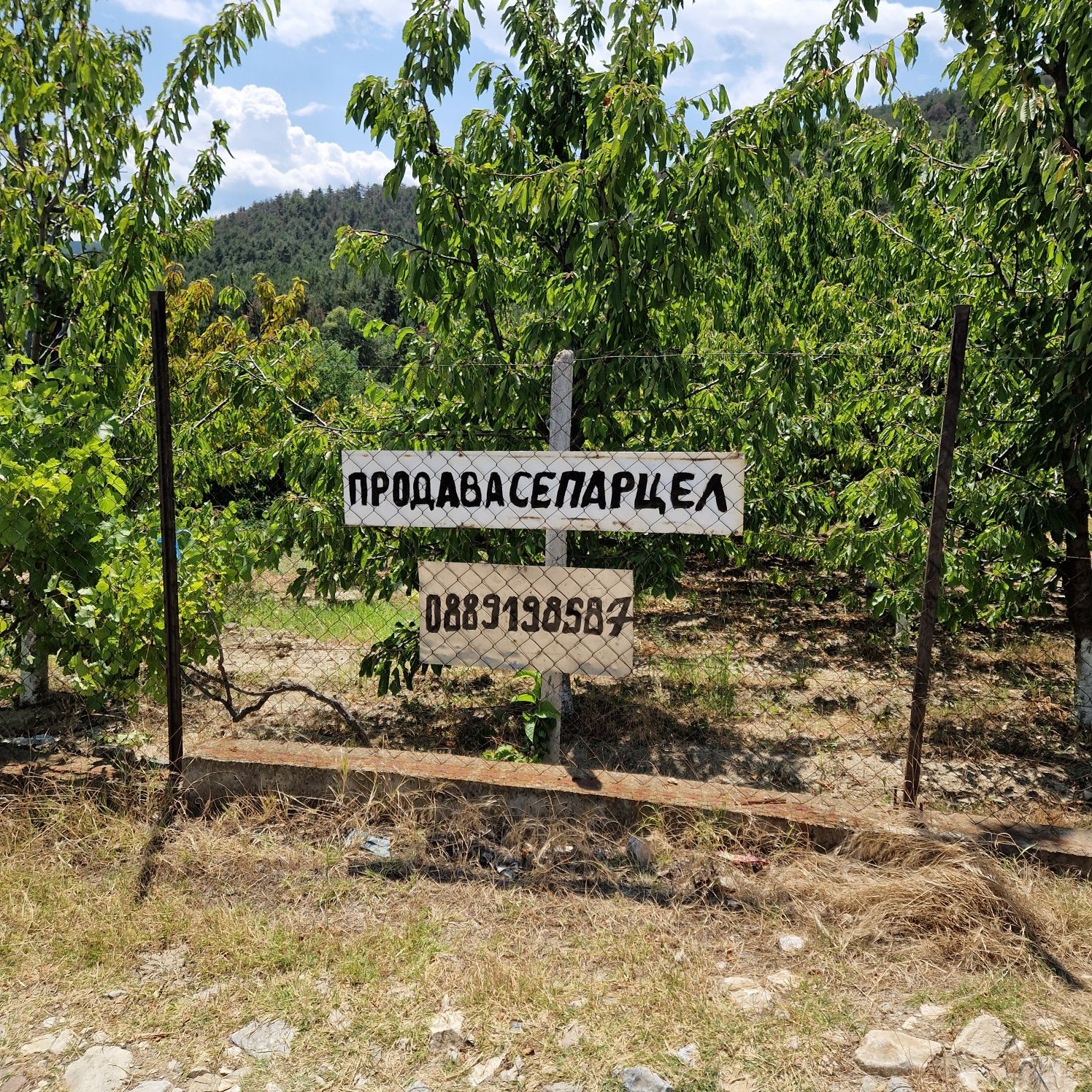 Парцел в Асеновград се продава