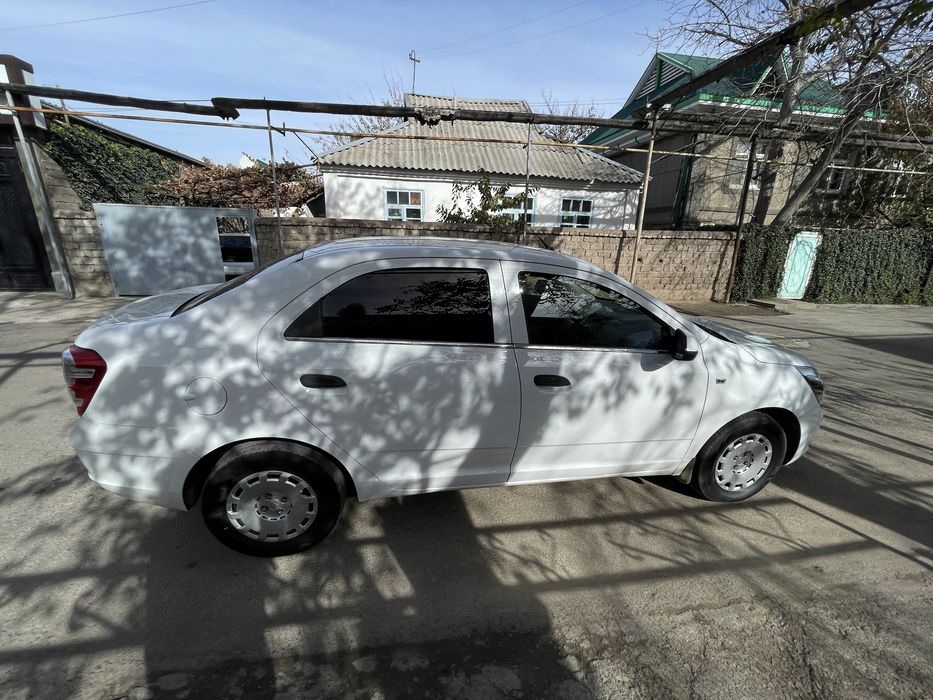 Cobalt 2019 petnolari bor suyagi butun