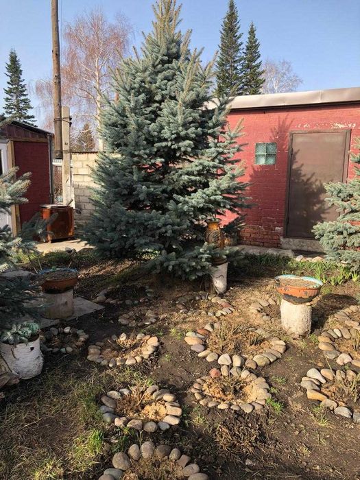 Продам дачу в черте города 12 мил тор уместен.