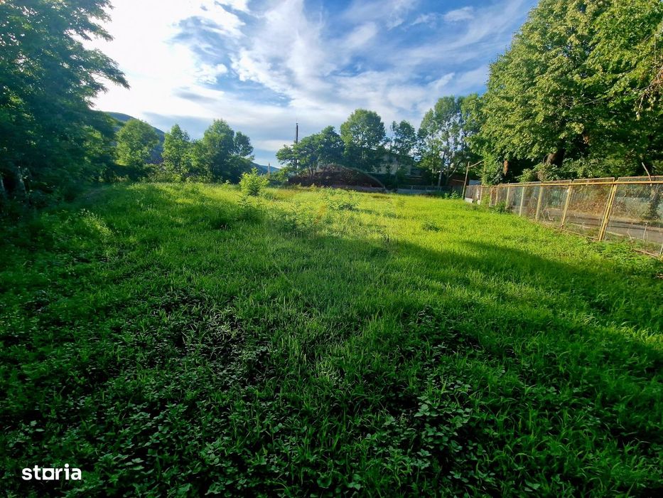 Teren 1,749mp Piatra-Neamt / Strada Zambilelor
