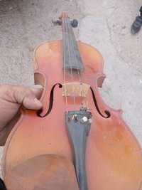 Цигулка цигулка  антика