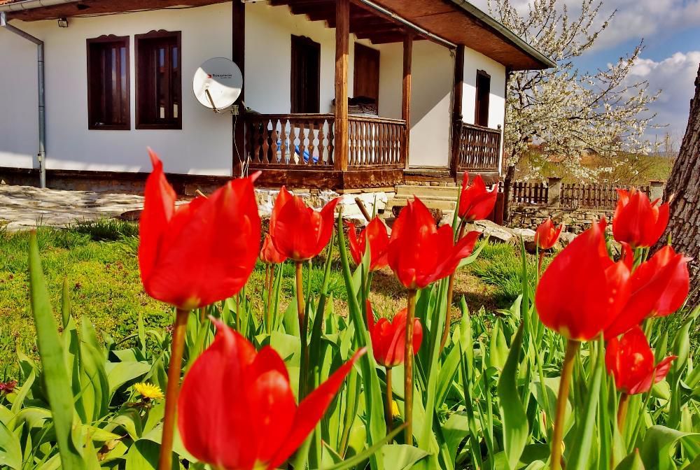 Къща за гости село Куцина до Велико Търново