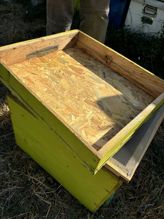 Vand cuti stupi albine