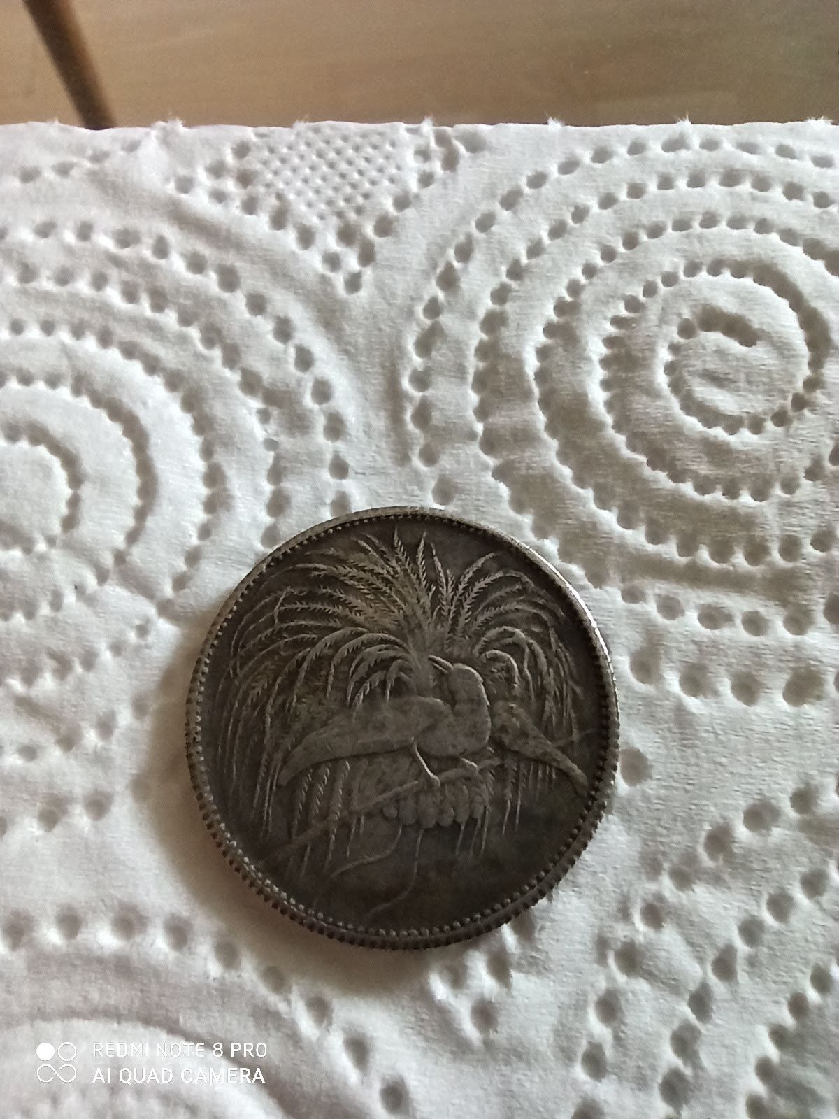 Neu Guinea mark 2