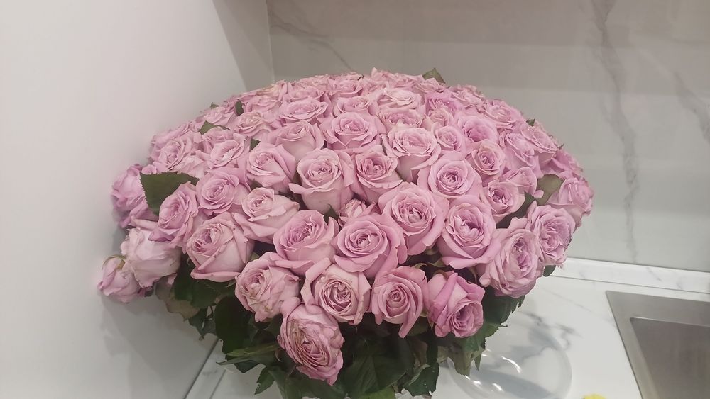 Роза, вчерашний 101