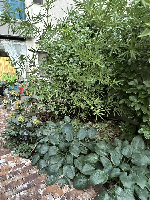 Apartament 3 camere Floreasca Residence/ Pescariu Sport