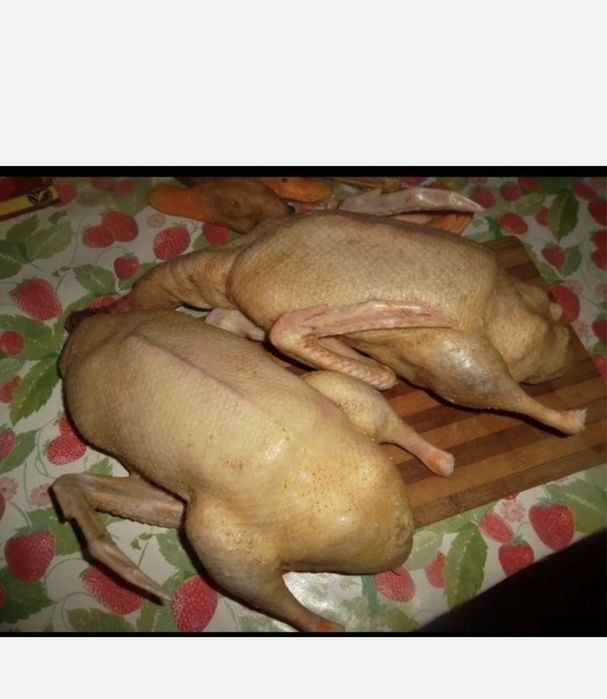 Мясо индоутки пишите