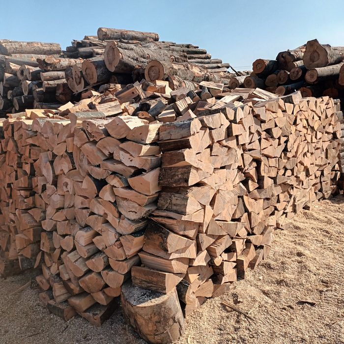 Lemne de foc fag capete uscate sau verzi 600.lei tona