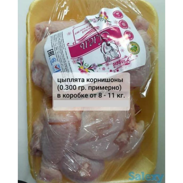 Цыплята корнишон Алель