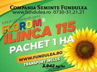 samanta floarea-soarelui Premium ILINCA 115, pachet 1 ha, seminte 2023