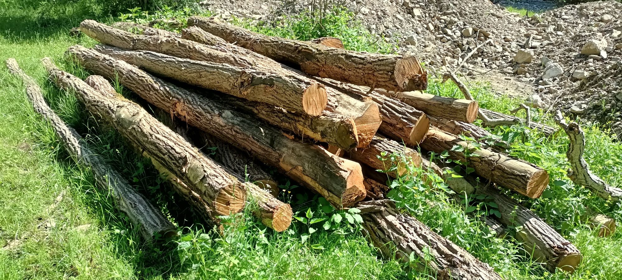 Salcâm de lucru stâlpi, grinzi, 4/6 m groși !!