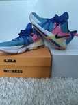 Nike Lebron Witness 7