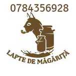 Lapte de măgăriță