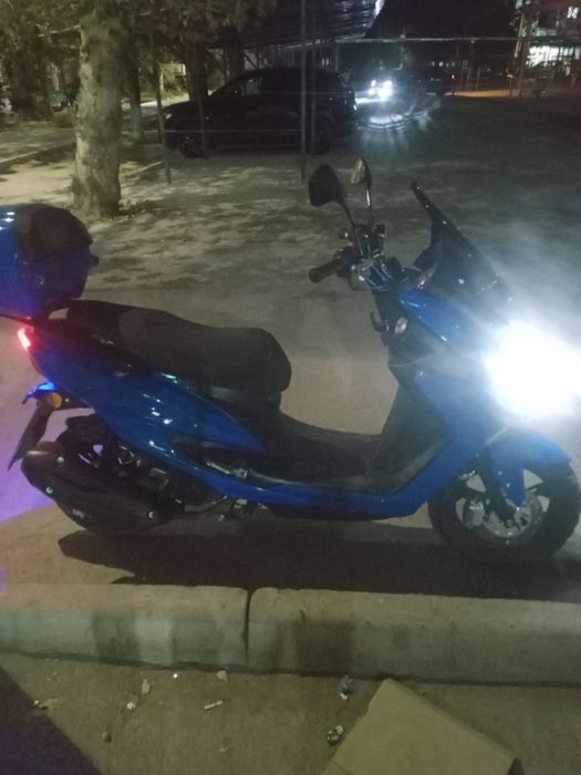 Sikutr sotiladi naxtga