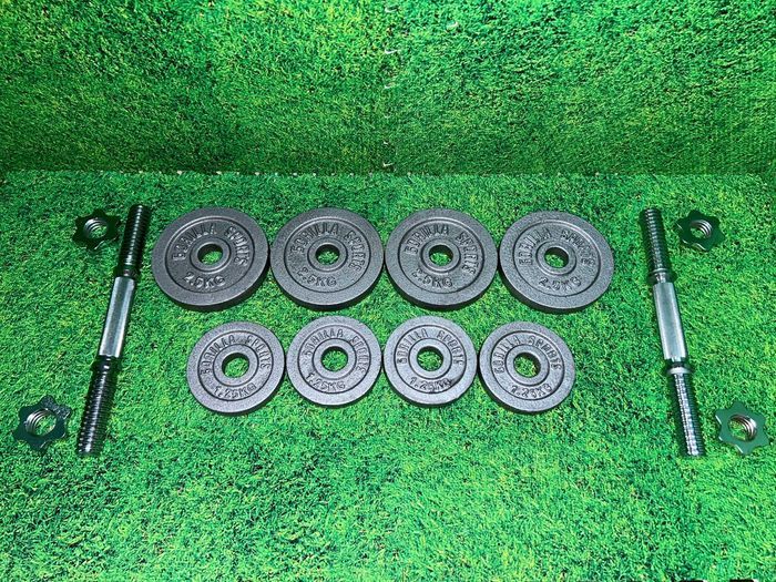 Set gantere cu discuri din fier 20kg 30/31mm