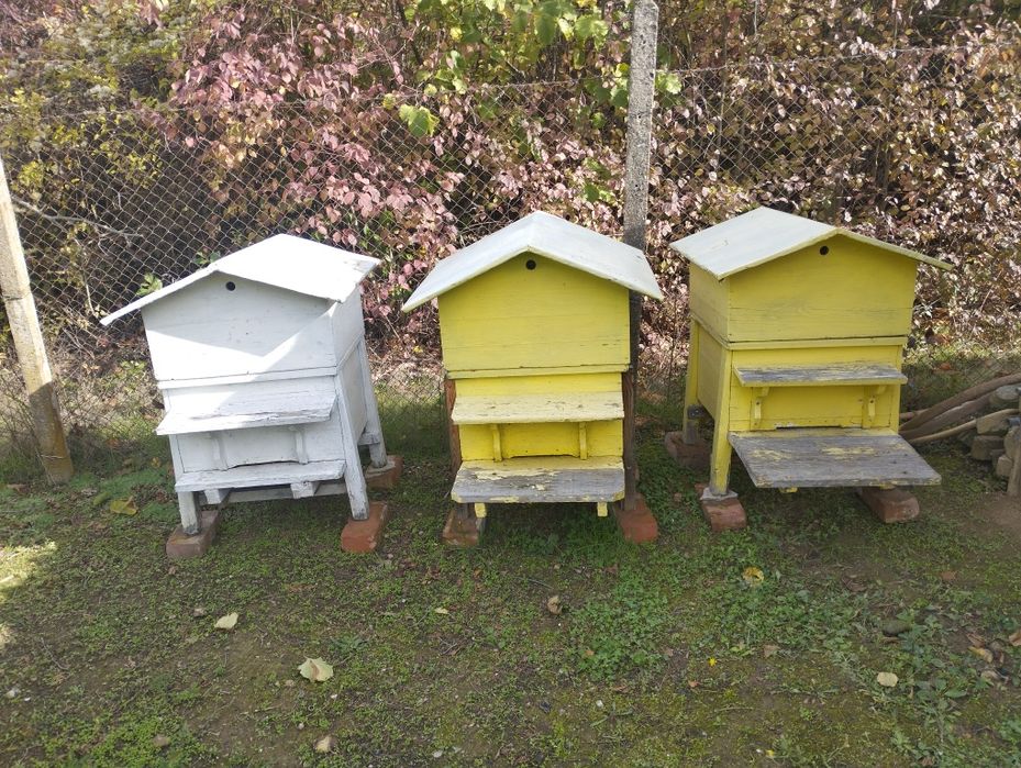 Кошери в добро състояние .С по един магазин също в добро състояние.