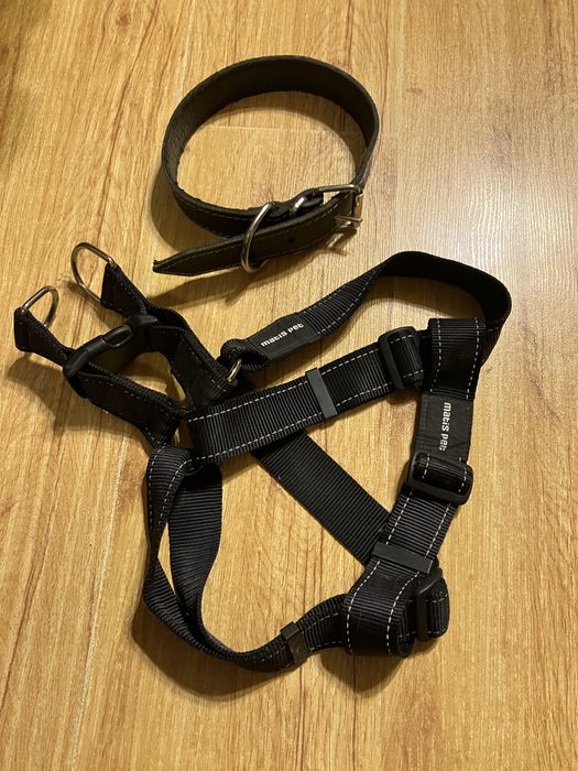 Vand ham si lesa caine