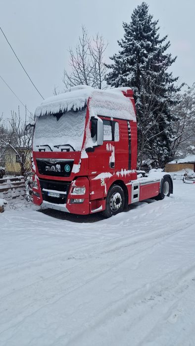 Man tgx D38 560 cp