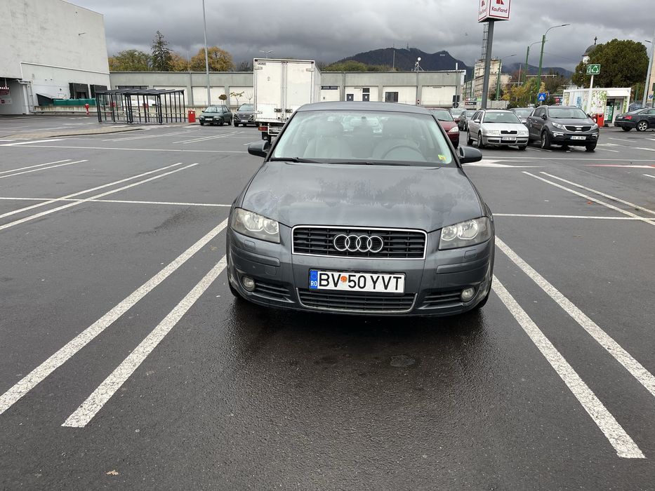 Audi A3 8P 2004, 1.6 benzină, 75kW-102CP