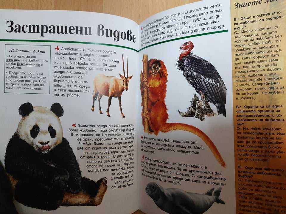 Детска енциклопедия "Да научим повече за животните"