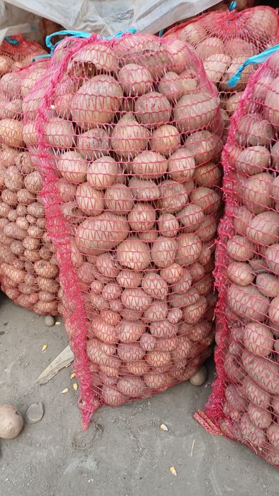 Cartofi pentru animale de vânzare