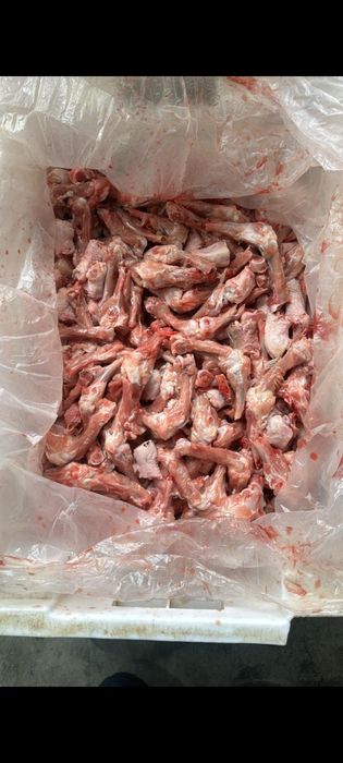 Кости для собак окорачка