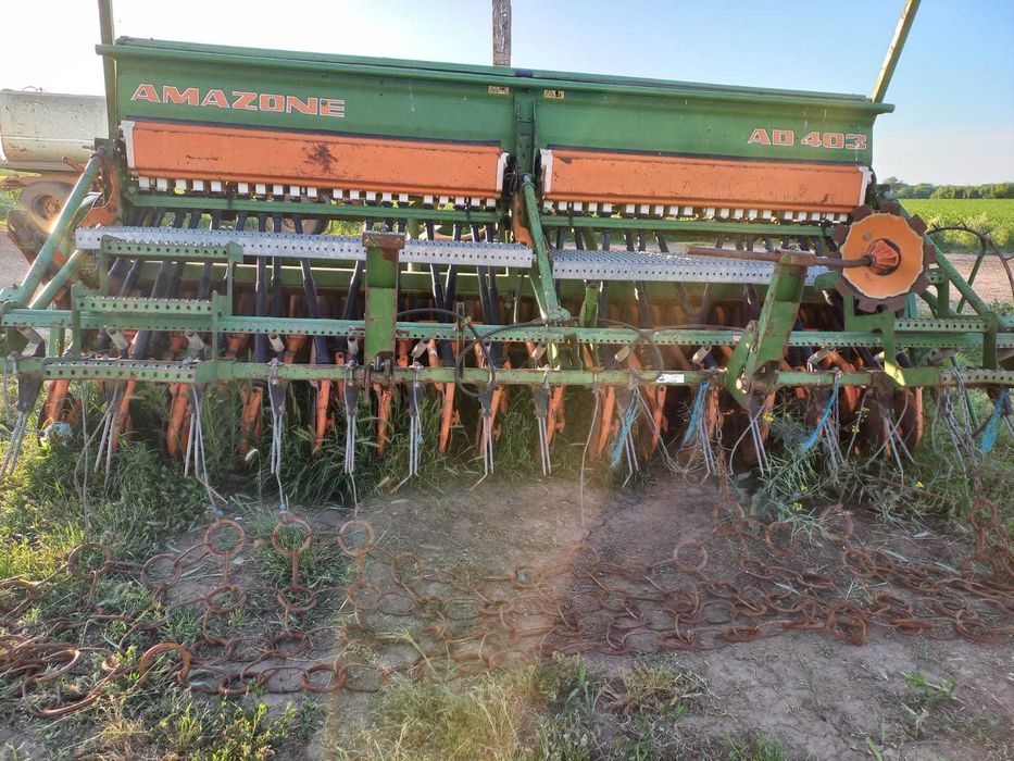 Semanatoare Amazone paioase- AD402 pe discuri