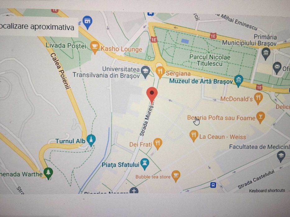 Proprietar studio ultracentral Muresenilor Livada Postei