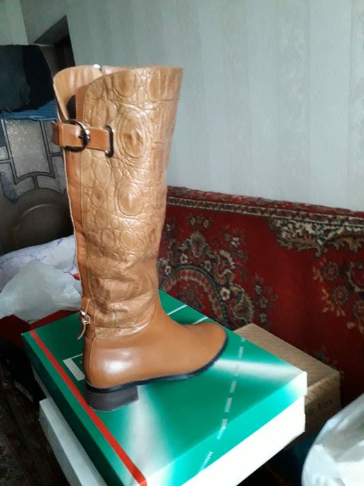 Сапоги женские осень