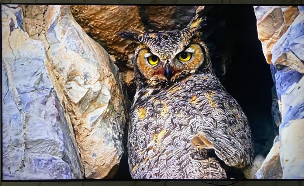 Телевизоры последних моделей 2024 года: «SAMSUNG», «LG» и «Yasin».