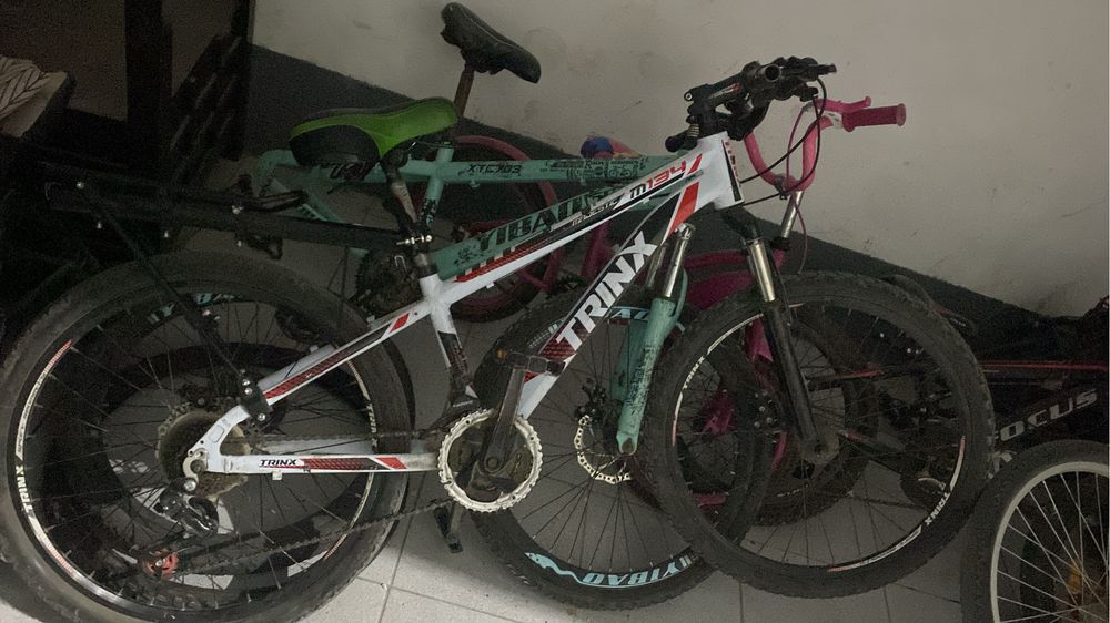 велик сатылымда тринх