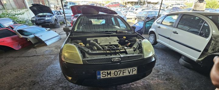 Broasca hayon Ford Fiesta a 5-a generatie