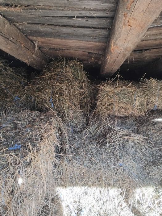 De vanzare peste 200 de baloti mici de lucerna vand si carata si ham