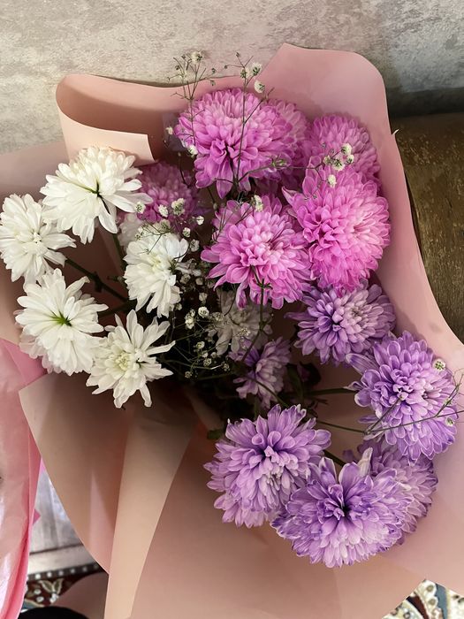 Продам цветы хризантема