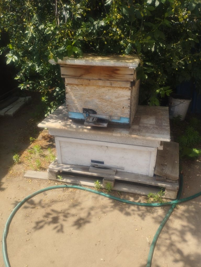 Продам 2 улья.по 5 и 3тыс.
