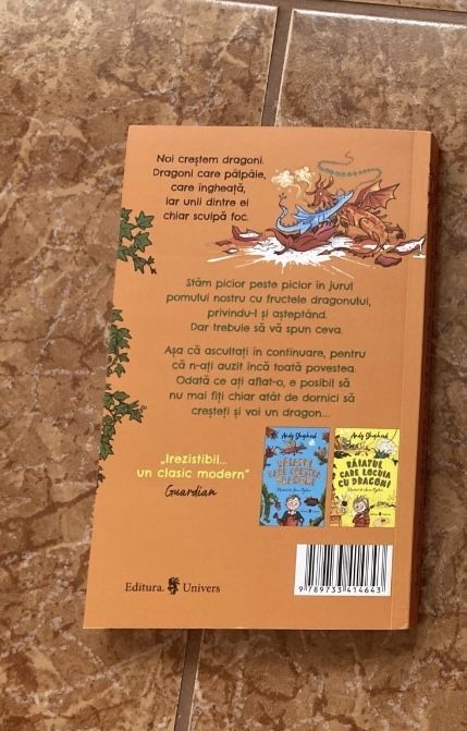 Carte pt copii - Băiatul care zbura cu dragoni - Andy Shepard